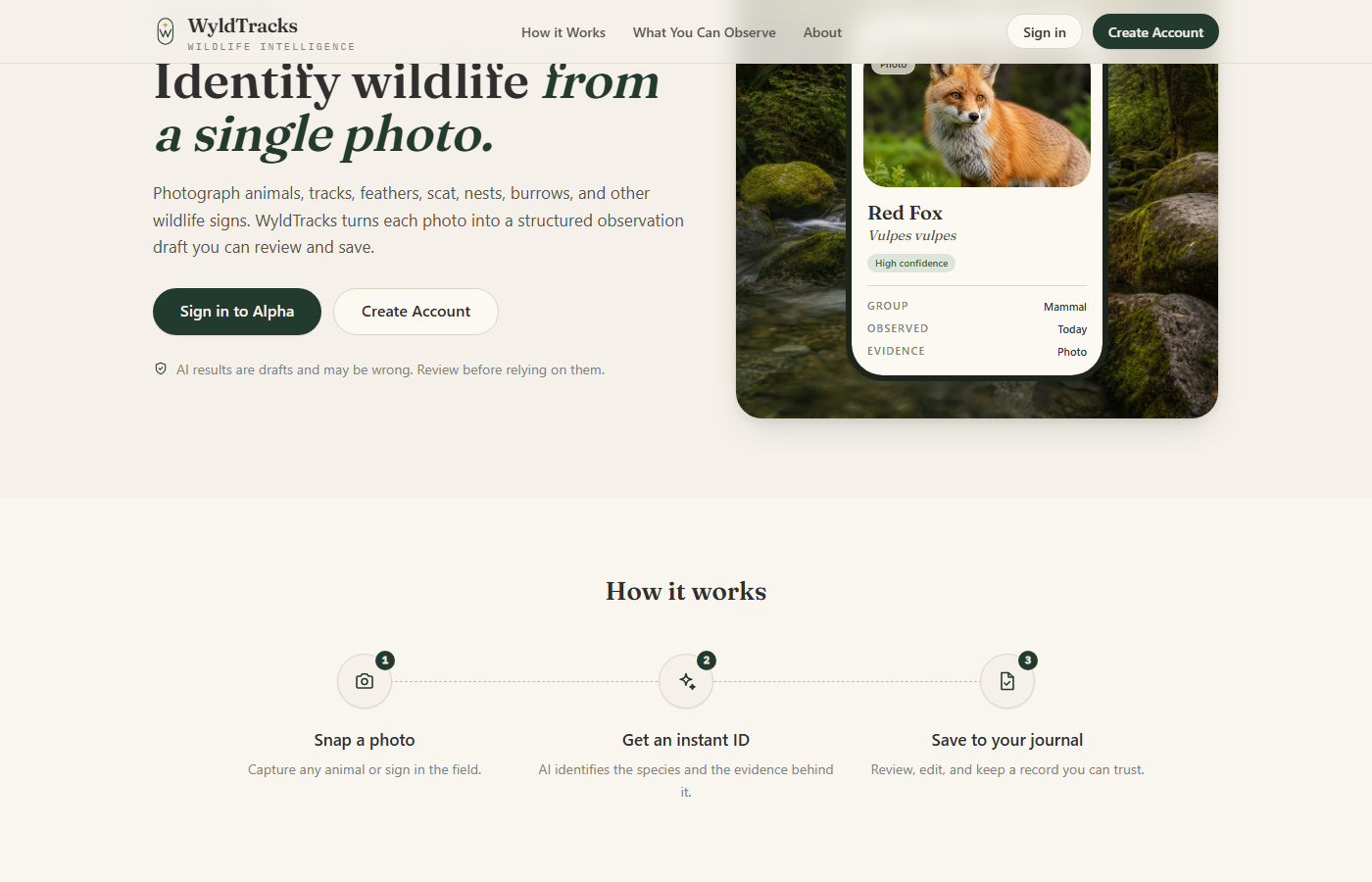 WyldTracks How it works section: snap a photo, get an instant ID, save to your journal