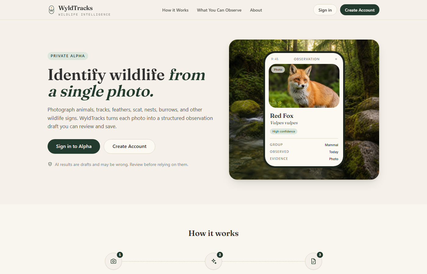 WyldTracks landing page with wildlife field journal hero